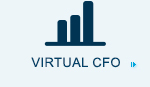 Virtual CEO